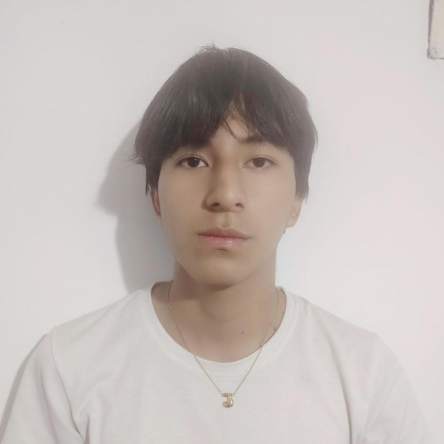 User Image