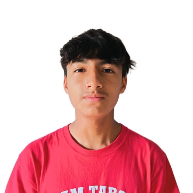 User Image