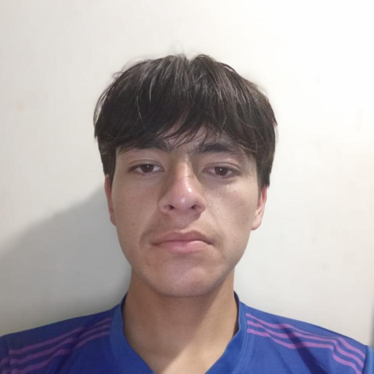 User Image