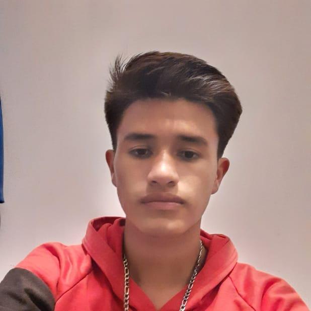 User Image